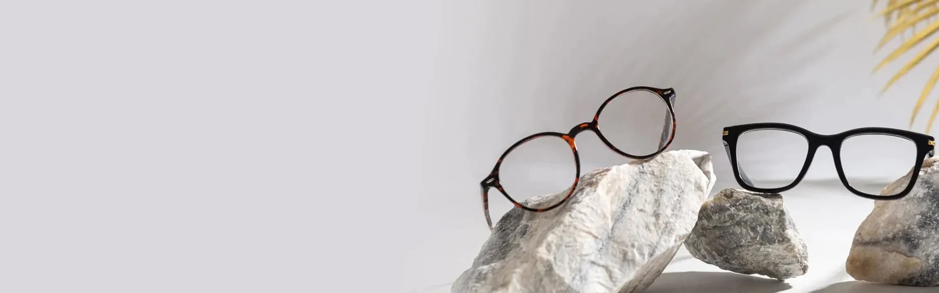 Tortoiseshell and black eyeglass frames resting on white stones